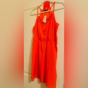 Banana Republic Size 10P Borange dress with Pockets/ Belt at Waist